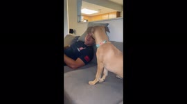Puppy getting upset because she wants to be pet and owner doesn’t right away!