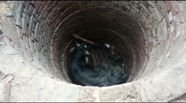 Bull rescued after falling into well during fight along street in northern India
