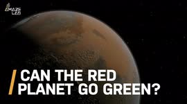 This Specific Type of Algae Could Be the Key To Making Mars Like Earth