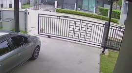Pet tortoise dash: CCTV of garden gate escape and interview with its Thai model owner