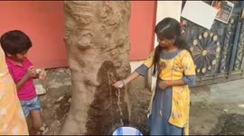 Water is gushing from this tree in India