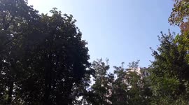 MiG-29 in the sky over Kyiv, Ukraine