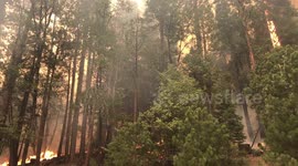 Dramatic footage of growing Caldor fire