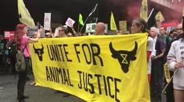 'Unite for Animal Justice': Animal Rebellion prepares for march in London