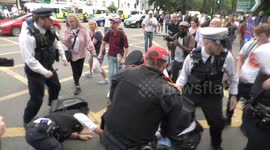 Scuffle takes place between police and protesters at 'medical freedom' demo in Clapham, London