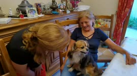Dog growls when hearing the word