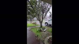 US: Hurricane Ida Lashes Louisiana With Damaging Winds 8