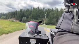 'This Biker has Traveled Over 6,000 KMs with her Adorable Chihuahua'