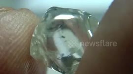 Indian farmer finds his SIXTH diamond, this time worth $41,000