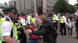 Police shove Extinction Rebellion protesters blocking Tower Bridge road