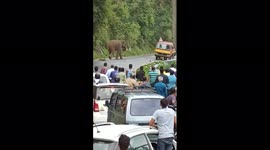 Elephant chases the people who are traveling on the Ghat road in South India