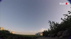 'Vicious Chihuahua Attacks & Floors FPV Drone | WTF Moment'