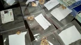 Gang of female jewelry thieves gets caught in central India