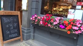 'Beauty is in the eye of the beer holder' states The Blackbird pub in Earls Court - London