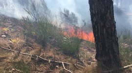 Wildfires spread through South Italy