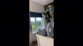 MOOve your body! Field of cows fascinated by woman dancing at window