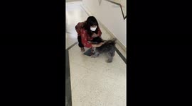 Dog can't contain excitement as it reunites with owner's best friend after 3 months