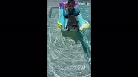 Ridiculously cute raccoon enjoying summer fun with her human family