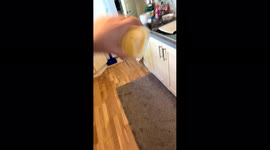 Oops! Overconfident man makes gravity-defying 'magic' smoothie... that doesn't defy gravity