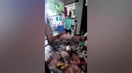 Guilty pet dog caught wrecking owner’s potted plants