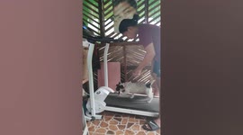 Poker-faced cat unimpressed by dog exercising on treadmill