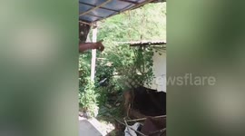Giant 14ft-long python caught hiding under house’s roof