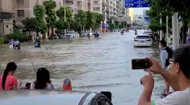Fish swims amongst vehicles passing through deep floodwater in southern China