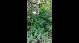 Заброшенный дом который в спешке покидали жители оставив все вещи