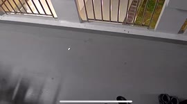 Cheeky pet cat steals neighbour's slippers in Singapore