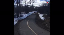 'When Downhill Skateboarding Goes... Downhill | Skateboarding Slam'