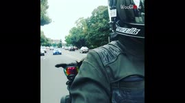 ''Road Dog' Enjoys a Fun Bike Ride with Owner on the Streets of Portland, OR'