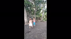 Funny videos of adorable toddlers.
