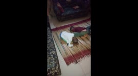 The MISTRY SLEEPING