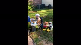 When your dogs decide to create their own doggie bag during your barbecue.
