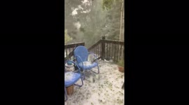 Heavy hail and rain batters a garden in Denver Metropolitan Area