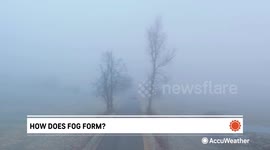What makes fog appear?