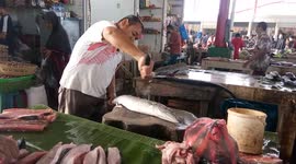 Fish Seller Cutting Fish into pieces in Lampulo Traditional Market Banda Aceh