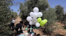 Masked Palestinians prepare incendiary balloons in Gaza Strip to launch across fence to Israel