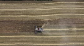 British farmers take advantage of warm dry weather to harvest crops in Worcestershire, England