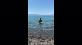 Adorable French Bulldog learning how to swim on the Lake