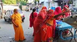 Indian Hindu Women Worshiped Cow On Bach Baras Festival In Rajasthan