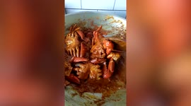 Crab hides from woman to avoid getting cooked
