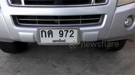 Stray kitten rescued after getting stuck in car engine