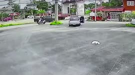 Pickup truck falls into canal after driver forgets to set the handbrake