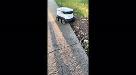 Filmer pleasantly surprised after stuck delivery robot thanks him for helping it out
