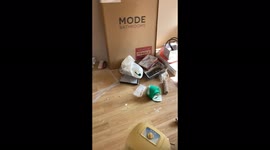 Toddler Gets Caught Making a Mess With Paint