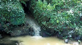 Cornwall tourist attraction village river pollution incident at St Mawgan near Newquay Cornwall UK