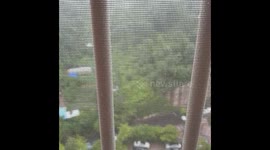 여름의 시원한 테라스 장마 비 (Summer's cool terrace rainy season.)