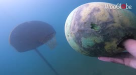 Diver shoots from the deep! Man enjoys basketball game on 'Poseidon's court'