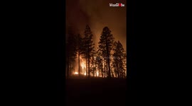 California firefighter films close-up footage of vicious Caldor Fire that has burnt over 200,000 acres